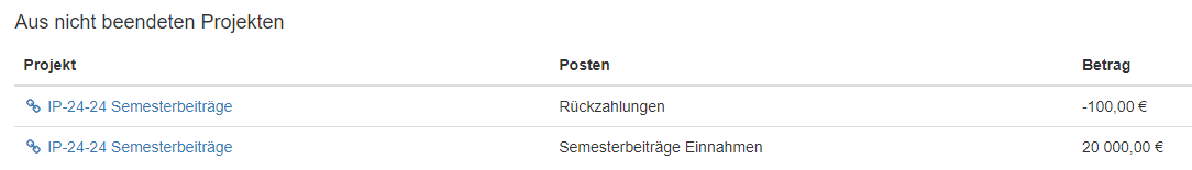 Screenshot mit &Uuml;bersicht offener Projekte im Haushalt